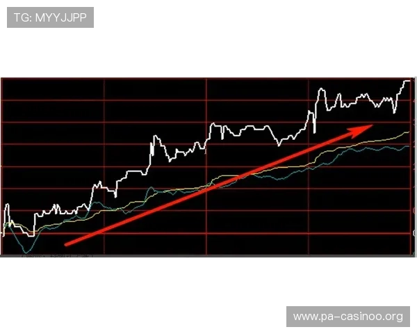 数据解读森林狼未来走势与盘口倾向深度趋势分析全景展望蓝图新
