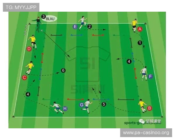 青训营投入与一线队本土球员占比相关性系统研究框架构建方法探讨析